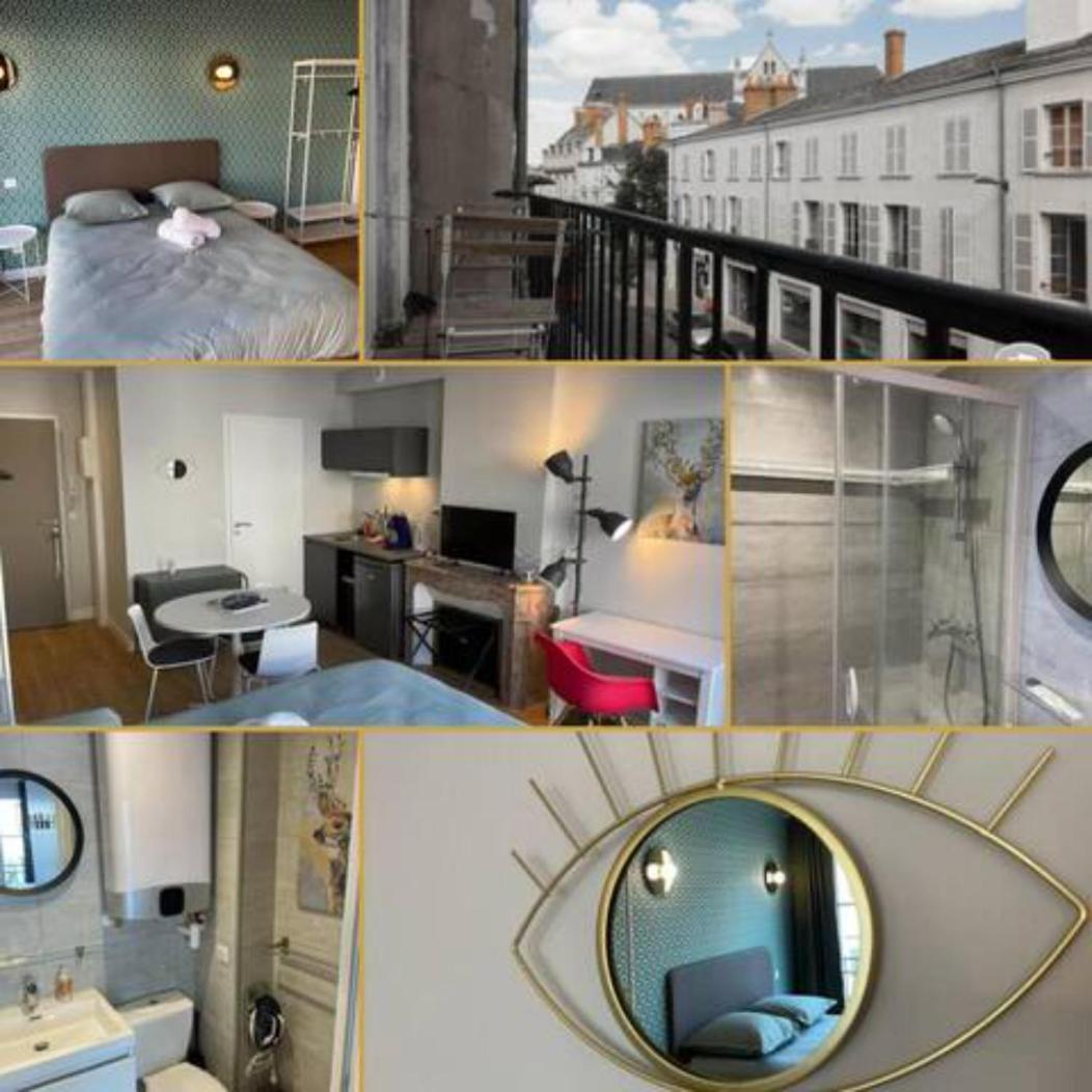 Appartamento Chaleureux Studio * Neuf * Hypercentre * Wifi * Orléans Esterno foto